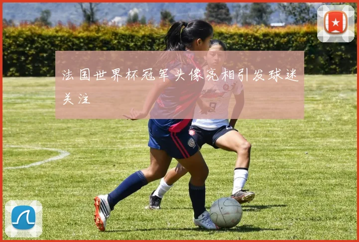 法国世界杯冠军头像亮相引发球迷关注