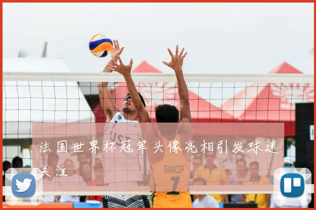 法国世界杯冠军头像亮相引发球迷关注